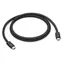 Apple Thunderbolt 5 (USB-C) Pro Cable černá / kabel / Thunderbolt 5 / 120 Gb/s / 240 W / 1 m