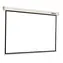 Reflecta Crystal-Line Rollo 240x240 cm / Projekční plátno / Roletové / 1:1 / 236x236 cm