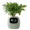 PlantsIO IVY zelená / Chytrý květináč