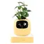 PlantsIO IVY gen 2 žlutá / Chytrý květináč