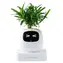 PlantsIO IVY gen 2 bílá / Chytrý květináč