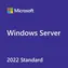 MS Windows Server CAL 2022 CZ 5 Clt Device CAL OEM