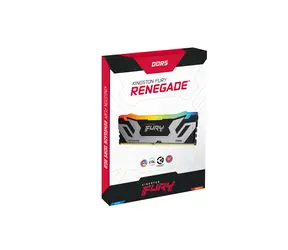 Kingston FURY Renegade RGB Silver 24GB