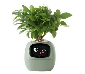 PlantsIO IVY zelená