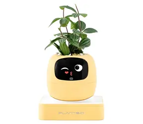 PlantsIO IVY gen 2 žlutá