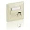 Equip bílá krycí destička pro Keystone / Rámeček / 3 porty / 45° / RAL 9010