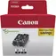 Canon PGI-35 BK / Cartridge / Twin Pack 2 ks / Originální