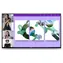 55" DELL P5524Q černá / LED / 3840x2160 / VA / 16:9 / 8ms / 4000:1 / 350cd-m2 / HDMI+DP+VGA+RS232+RJ45 / 3YNBD