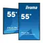 55" IIYAMA ProLite LH5565UHSB-B1 / IPS / 3840 x 2160 / 16:9 / 8 ms / 800 cd / 1200:1 / HDMI / DP