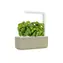 Click And Grow Smart Garden 3 béžová / Chytrý květináč / automatické zavlažování / 3x pěstovací kapsle (bazalka)