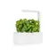 Click And Grow Smart Garden 3 bílá / Chytrý květináč / automatické zavlažování / 3x pěstovací kapsle (bazalka)