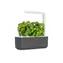 Click And Grow Smart Garden 3 tmavě šedá / Chytrý květináč / automatické zavlažování / 3x pěstovací kapsle (bazalka)