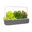 Click And Grow Smart Garden 9 šedá / Chytrý květináč / automatické zavlažování / 3x rajčátka / 3x bazalka / 3x salát