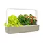 Click And Grow Smart Garden 9 béžová / Chytrý květináč / automatické zavlažování / 3x rajčátka / 3x bazalka / 3x salát