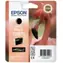 Epson Stylus Photo R 1900