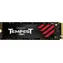 Mushkin Tempest 256 GB SSD / M.2 2280 / NVMe PCIe 3.0 x4 / RW: 3100 & 1400 MBps / MTBF: 1.5 / 3y