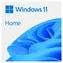 Windows 11