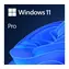 Microsoft Windows 11 Pro EN 64-bit (OEM) / Operační systém / DVD pro 64-bit / angličtina / pro 1 PC nepřenositelná
