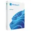 Microsoft Windows 11 Home CZ 64-bit (FPP) / Operační systém / USB disk pro 64-bit / čeština / pro 1 PC přenositelná