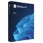 Microsoft Windows 11 Pro CZ 64-bit (FPP) / Operační systém / USB disk pro 64-bit / čeština / pro 1 PC přenositelná