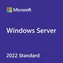 MS Windows Server CAL 2022 Client Access License (CAL) 1 licence