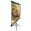 ELITE SCREENS plátno mobilní trojnožka 71" (1:1) černá / 127 x 127 cm / zisk 1.1