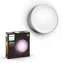 Philips Hue Daylo LED RGB 1x15W nerez / venkovní nástěnné svítidlo / 1200lm / 2000-6500K / RGB / IP44