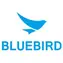 Bluebird Ochranná fólie na displej pro S20 & S50
