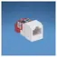 Panduit modul, UTP, C5E, bílý CJ588AW
