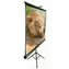 ELITE SCREENS plátno mobilní trojnožka 120" (4:3) černá / 182.9 x 243.8 cm / zisk 1.1