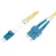 DIGITUS Fiber Optic Patch Cord, LC to SC Singlemode 09/125 µ, Duplex Length 2m