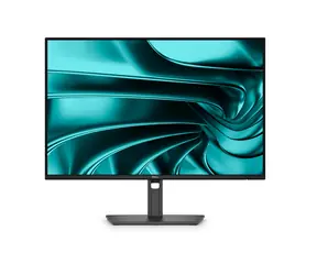 24" Dell Pro P2426E černá / Monitor / IPS / 1920×1200 / 100Hz / USB-C / LAN / 3RNBD