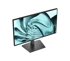 24" Dell Pro P2426H černá / Monitor / IPS / 1920×1080 / 120Hz / USB hub / Pivot / 3RNBD