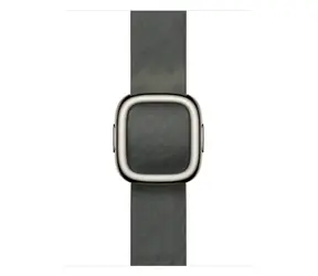 Apple Watch Modern Buckle 42mm - vel.L - šalvějově šedá / Řemínek s moderní přezkou / 160–180 mm