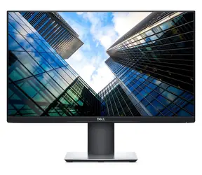 24" DELL P2419H černá / Monitor / IPS / FullHD / 16:9 / HDMI+DP