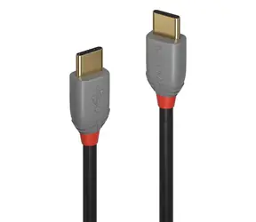 Lindy USB-C 1 m černá / USB kabel / USB 2.0 / 480 Mbit/s