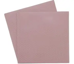 Thermal Grizzly Minus Pad 8 růžová 100 x 100 x 1,0 mm / Teplovodivá podložka / silikonová / 2 Ks