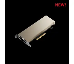 PNY NVIDIA RTX A2 Low Profile / Grafická karta / 16GB GDDR6 / 128-bit / PCIe 4.0 x8 / Passive / Single slot