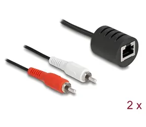 DeLock RJ45 (Bu) - 2x Cinch (St) / Audio adaptér / Plug & Play / 2 ks v balení