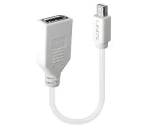 Lindy bílá / Adaptér / Mini DisplayPort (M) - DisplayPort (F) / 0,15 m