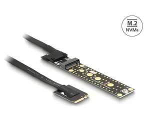 Delock / Redukce M.2 Key A+E samec - M.2 Key M slot / kabel 20 cm