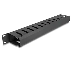 Delock Panel pro organizaci kabelů 19" černá / Kabelový organizér / 1U / Kov