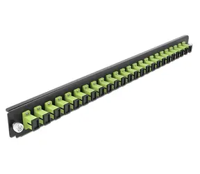 Delock 19" LWL spojovací panel zelená / Optický patch panel / 24x SC Simplex / Rack 1U