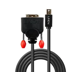 Lindy Mini DisplayPort - DVI-D černá / Redukce / 1920×1200 px / 2 m