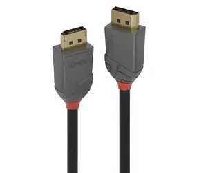 Lindy DisplayPort 1.1 kabel černá / Přípojný kabel / DisplayPort - DisplayPort / 15 m / 60 Hz