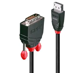 Lindy černá / Redukce / DisplayPort - DVI-D / 2 m