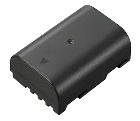 Panasonic DMW-BLF19E / Baterie do fotoaparátu