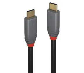Lindy Anthra Line černá / Kabel / USB-C - USB-C / 0,5 m / 10 Gbit/s / 5 A PD
