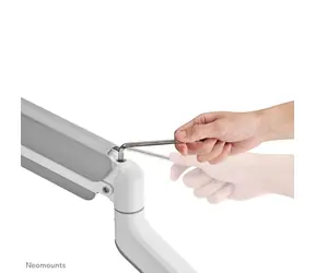Neomounts DS70PLUS-450WH1 bílá / Držák zakřiveného displeje / 17-49" / svorka+průch. / VESA 100x100 / nosn. 18kg