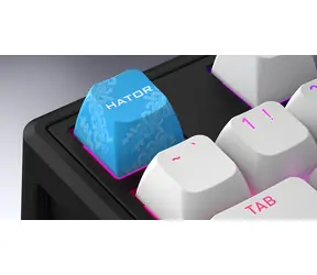Hator Skyfall 80 bílo-černá / Herní klávesnice / magnetické spínače Aurum Ice / drátová / USB-C / podsvícená